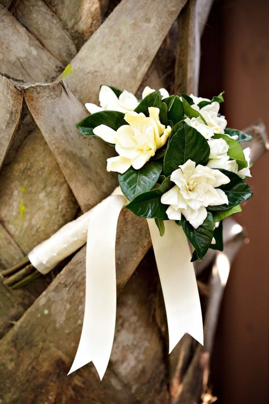Vestido de Noiva RJ | Os 10 tipos de flores mais tradicionais para  casamentos