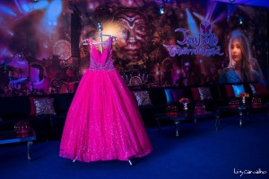 15anos-Festa-de-Debutante-IsabelleCastro_Vestido-Blog-IvanaBeaumond (8)