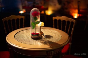 debutante-agatha-a-bela-e-a-fera-vestido-ivana-beaumond-paris(8)